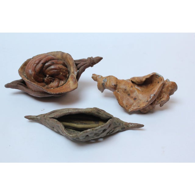 Set of Three Studio Ceramic Nature Study Artifacts For Sale - Image 13 of 13