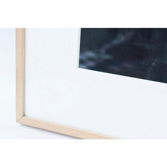 Photograph From Romance Series Titled Redbird by Dara Freidman Custom Framed 2002 For Sale - Image 4 of 10
