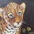 Vintage Wildlife Oil Painting on Canvas "Leopard Cub" Signed Framed For Sale - Image 10 of 12