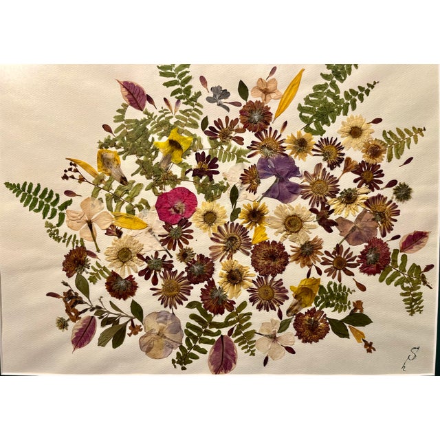 2025 Original Herbarium by Artist SVITLANA SHAPOVALOVA 17" x 13" Aprox. dimensions: Frame: 13"H x 17"W Opening area: 10"H...