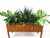 Teak Indoor Planter With Silk Plants Denmark For Sale In Cincinnati - Image 6 of 10