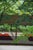 Masao Ido, Green Shade (緑蔭), 1991, Woodblock Print For Sale - Image 12 of 14