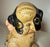 Hubley Manufacturing Company Antique Original Grace Drayton Cast Iron Hubley Dog Bee Coin Still Bank 1900s For Sale - Image 4 of 13
