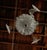 Transparent 1960s Glass Leafy Murano Fixture For Sale - Image 8 of 10