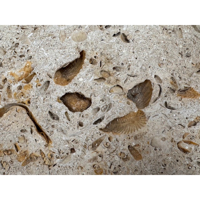 Stone Artisan Made Fossilized Stone Side Table For Sale - Image 7 of 12