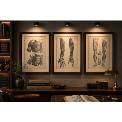 Jules Cloquet, French Anatomical, 1821, Lithograph, Set of 3 For Sale - Image 6 of 10