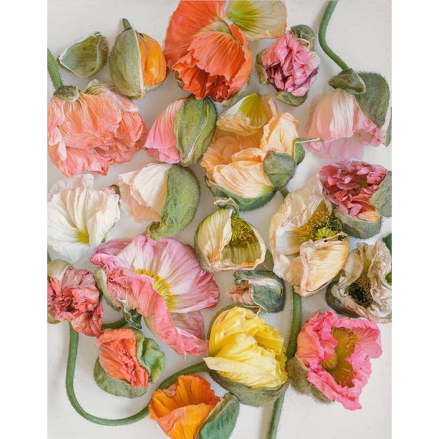 Scattered Bunch Color Pastel Poppies For Sale In New York - Image 6 of 6