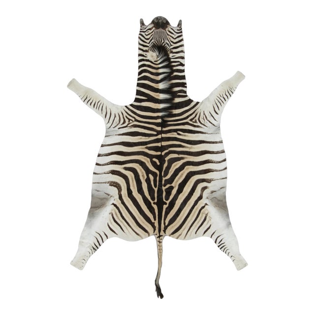 Rug & Kilim’s Contemporary Burchell Zebra Hide Rug With Classic Black Stripes (Pair) For Sale