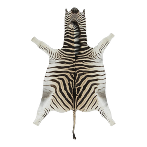 Rug & Kilim’s Contemporary Burchell Zebra Hide Rug With Classic Black Stripes (Pair)