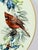 1990s Vintage Lenox “Winter Greetings” Dinner Plates ~ Set of 6 For Sale - Image 5 of 6