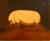 Oil painting on board of a prize hog. Based on, and influenced by 18th century English prize farm animals. Signed Satori...