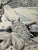 Original Signed Graphite Illustration of Bobcat and Lynx in Winter Landscape, 10.25 In. H × 7.5 In. W For Sale - Image 4 of 7