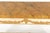 19th Century Italian Paint and Gilt Console Table For Sale - Image 9 of 12