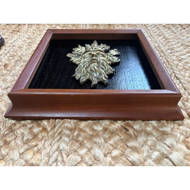 Mid 19th Century Bronze Mount in Shadow Box Frame, 19th Century For Sale - Image 5 of 6