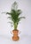 Gorgeous midcentury bamboo and rattan decorative vase. This beautiful piece was produced by Vivai del Sud in Italy during...