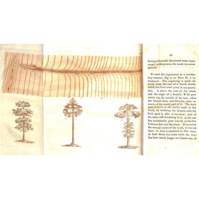 "The Forest Pruner: Or, Timber Owner's Assistant" 1808 Pontey, William For Sale In New York - Image 6 of 8