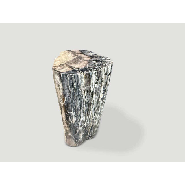 2010s Andrianna Shamaris Minimalist Modern Organic Petrified Wood Side Table For Sale - Image 5 of 5