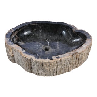 Petrified Wood Hand Wash Basin by Xyleia Petrified Wood For Sale