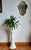 Ceramic Vintage Italian Earthenware Planter on Stand, 1970s For Sale - Image 7 of 9