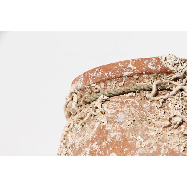 Ceramic 19th Century Antique Terracotta Octopus Trap Undersea Pot For Sale - Image 7 of 13