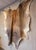Large Beige and Brown Cowhide Rug For Sale - Image 10 of 18