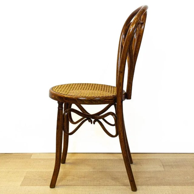 Antique Spanish Bentwood Chair in Oak by Ventura Feliu, 1890s, Set of 4 For Sale - Image 3 of 9