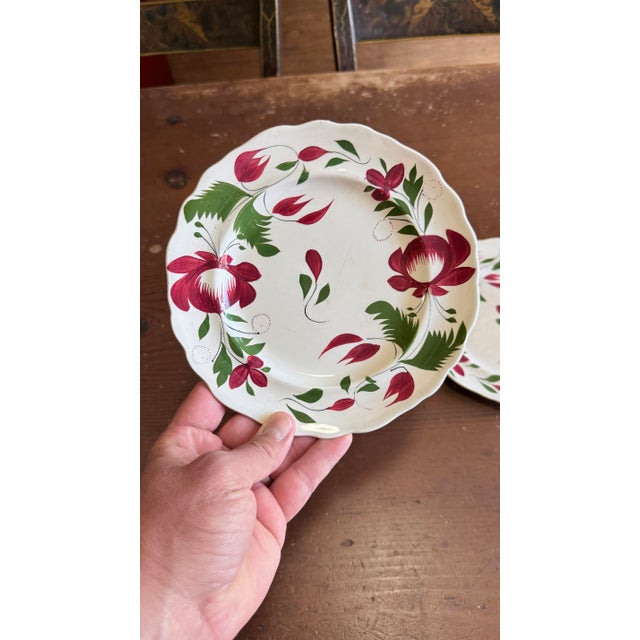 A Very Nice Pair of Antique Staffordshire Early Adam’s Rose Plates, Circa 1830 For Sale - Image 4 of 11