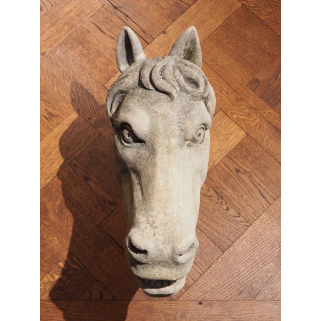 Carved Limestone Horsehead From Italy For Sale - Image 10 of 13