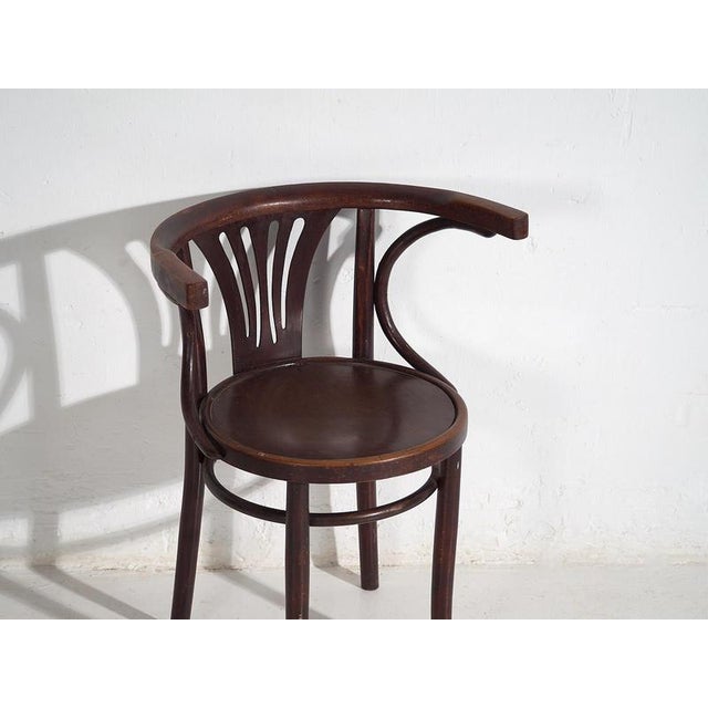 Chairs with Armrests from Thonet, 1920s, Set of 4 For Sale - Image 15 of 18