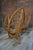 Mid-Century Modern Sculptural Rattan and Wood Lounge Chairs, 1960s, Set of 4 For Sale - Image 3 of 8