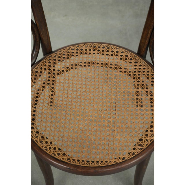 Vintage Webbing Armchair in Curved Wood For Sale - Image 6 of 13