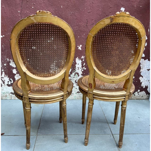 19th Century 19th Century Pair of Louis XVI Giltwood Side Caned Chairs For Sale - Image 5 of 11