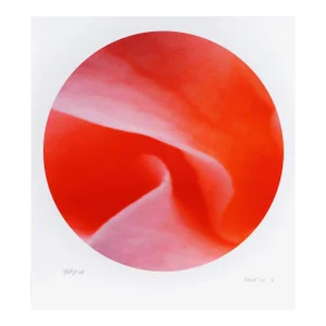 Tondo Hot Snips, Jonathan Singer, Print