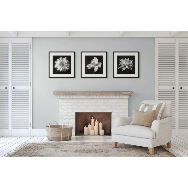 ______________________________________ FREE SHIPPING FOR A LIMITED TIME ONLY! ______________________________________...