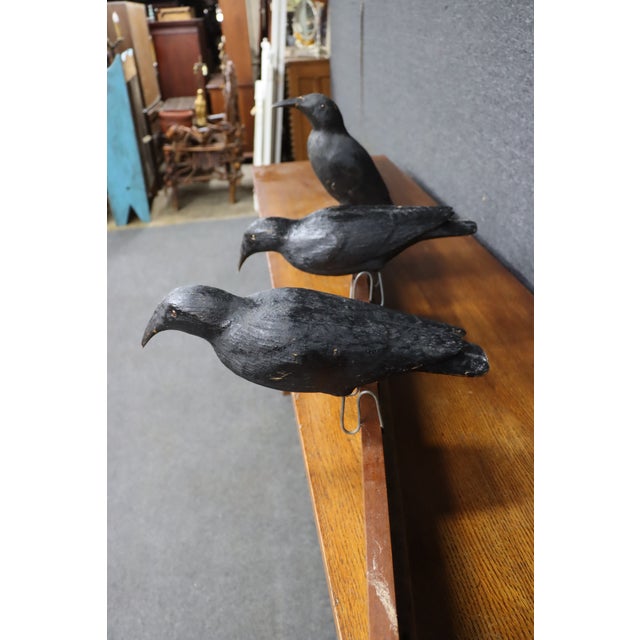 Folk Art Crow Decoys – Set of Three For Sale - Image 13 of 18