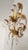 Mid-Century Regency Modern Boheme Shabby Chic Forged Gold Leaf Gilded Floral Two Light Sconce with Crystal Drops, Italy, 1950s, Set of 3 For Sale - Image 9 of 18