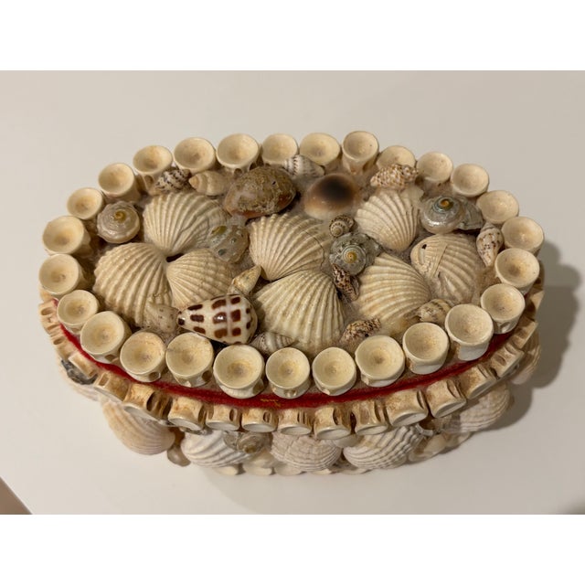 Traditional Vintage Palm Beach Style Oval Encrusted Shell Box For Sale - Image 3 of 16