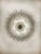 Transparent Murano Palmette Ceiling Light on Four Levels, 163 Trasparent Glasses For Sale - Image 8 of 9