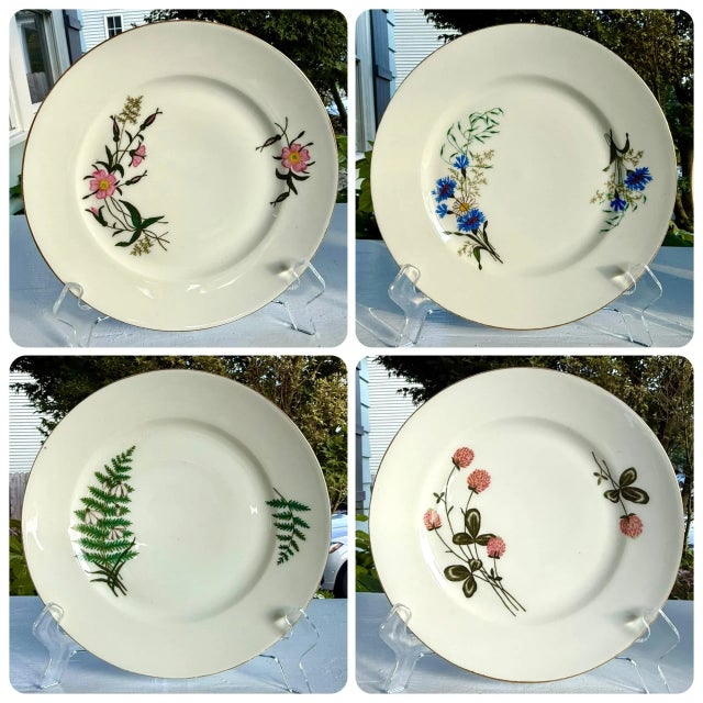 Limoges Porcelain Dinner Plates From 1880 - Set of 8 For Sale In New York - Image 6 of 16