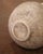 Tan 19th Century French Provencal Glazed Terracotta Olive Oil Jar From Biot For Sale - Image 8 of 8