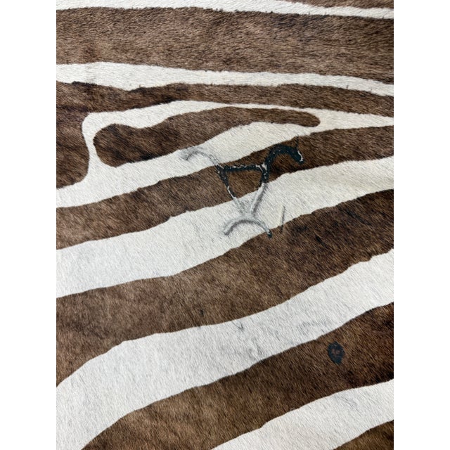 Contemporary 5ft 1in × 5ft 8in Zebra Printed Hair on Hide Area Rug For Sale - Image 3 of 12