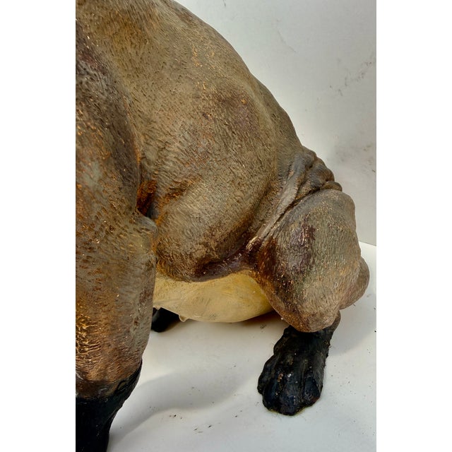 Large 19th Century English Cold-Painted Terracotta Bulldog Figure With Glass Eyes For Sale - Image 14 of 17