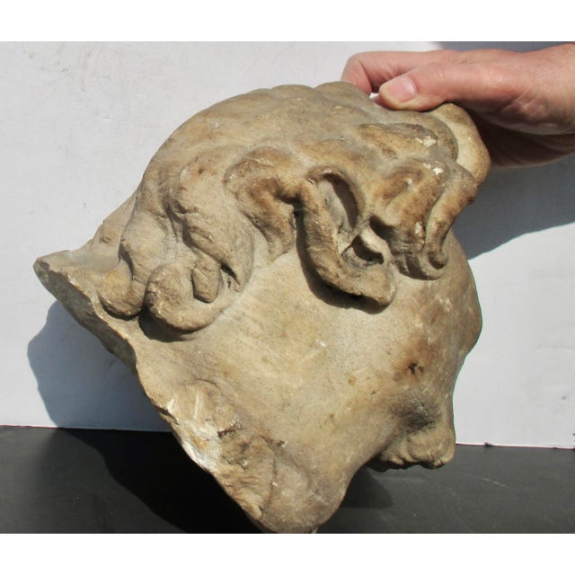 Limestone Satyr Head For Sale - Image 4 of 8