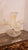 This listing features a glass epergne with four flutes that have yellow glass intertwining vines. The diameter of the bowl...