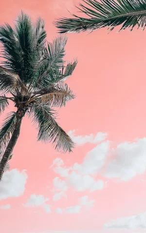 "Palm 2 36x24" Contemporary, Fine Art Photography by Kristin Hart