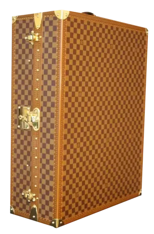 Checkers Shoe Trunk from Louis Vuitton, 2010s