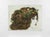 Etching and aquatint in colors on wove paper. Hand signed in pencil lower right. Signed and titled in plate lower center....