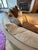 Lexington Furniture Contemporary 4-Piece Sectional For Sale - Image 4 of 8