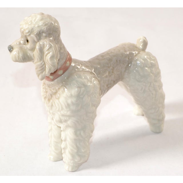 Antique White 1950s Lladro Fine Handmade Porcelain Poodle Dog Figurine Animal Sculpture Spain For Sale - Image 8 of 18