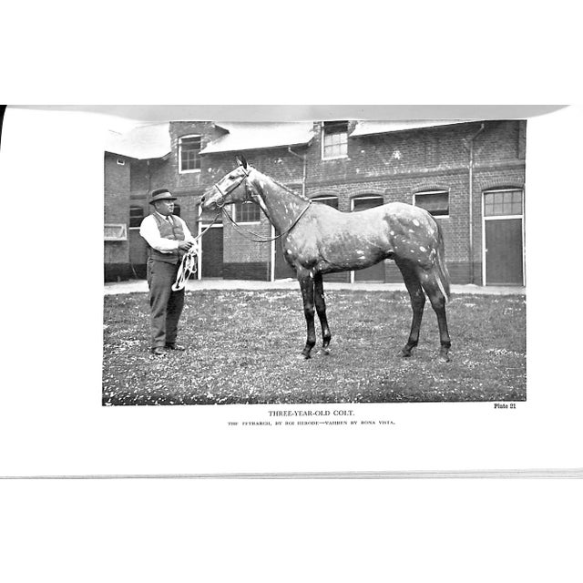 "The Lonsdale Library: Flat Racing" 1948 the Rt. Hon. The Earl of Harewood, K. G. & Lt.-Col. P. E. Ricketts, d.s.o., m.v.o. For Sale - Image 10 of 10